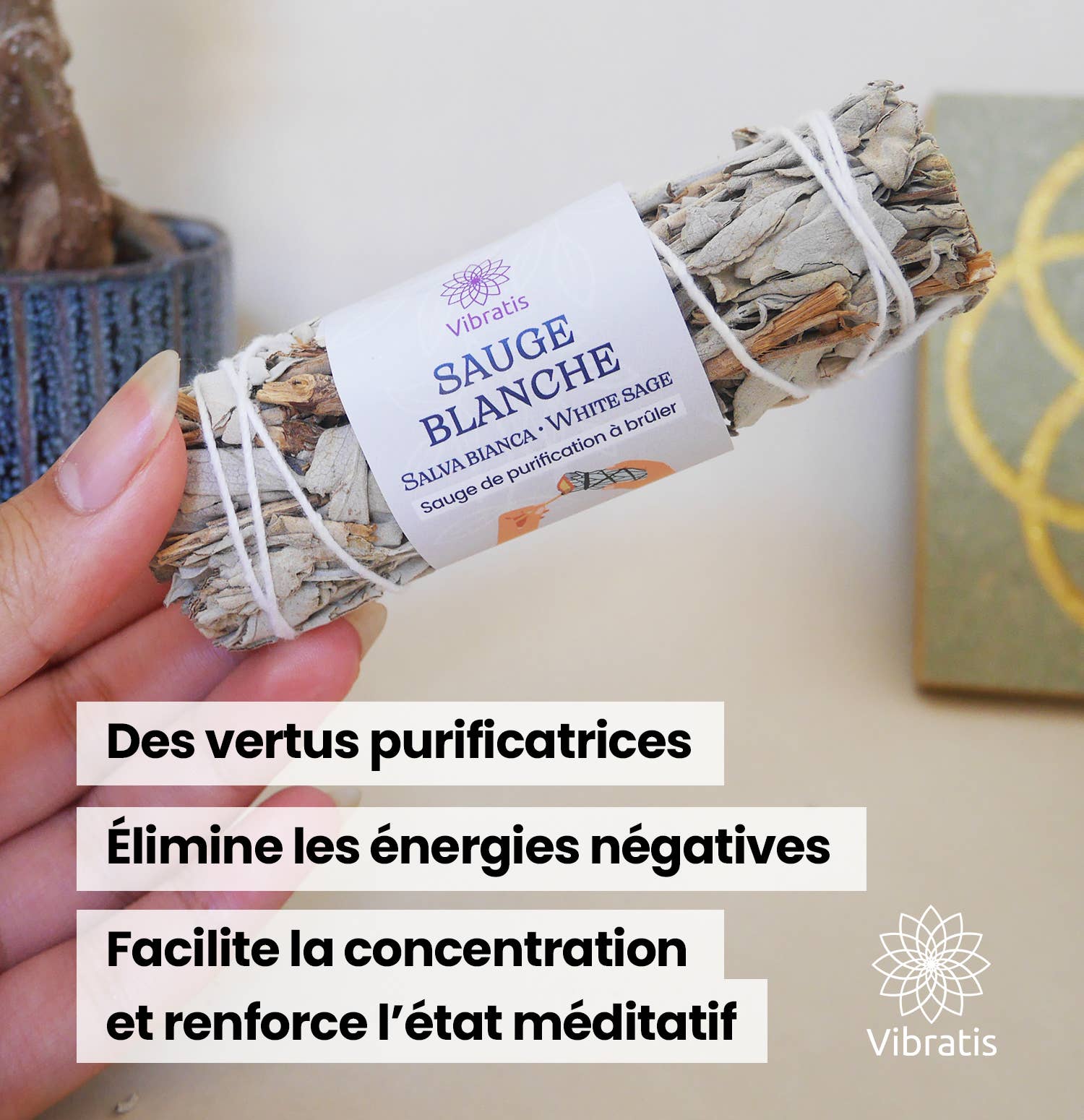 Vibratis - Wholesale Sage Bundle - 9+1 FREE: White sage stick in bulk4