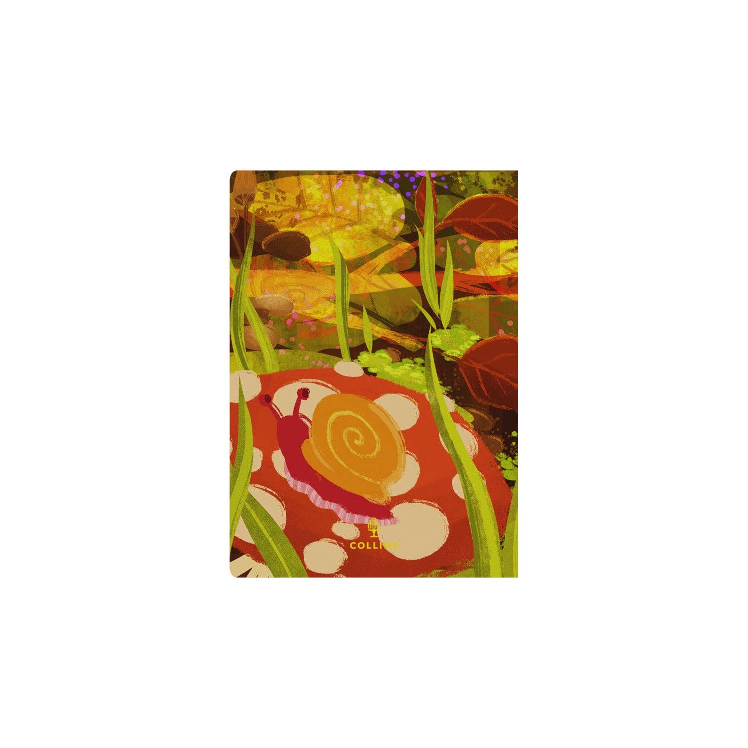 Collins Debden - Wholesale Planner - Bella Ramsay Cat - A5 Week-to-View Mid/Academic Year Diary Planner 2025-202612