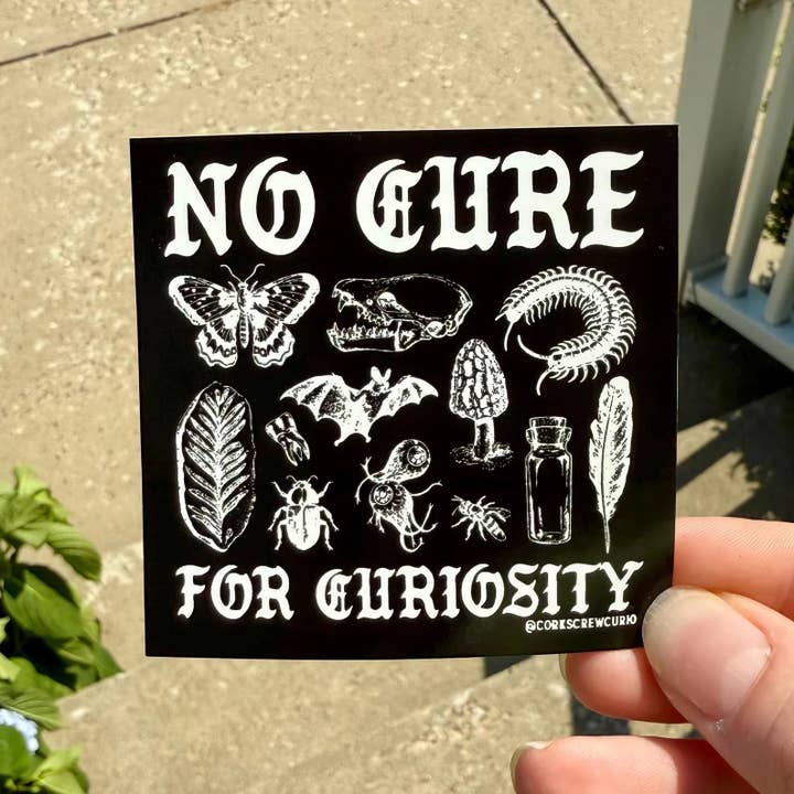 Corkscrew Curiosities - Wholesale Sticker - No Cure for Curiosity Sticker - Oddities & Curiosities2