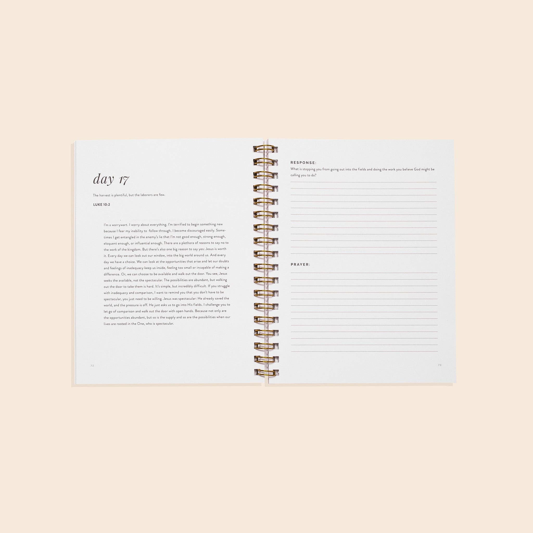 Paige Tate & Co. – wholesale Colouring and activity book – adult – Wholehearted: A Christian Coloring Book Devotional2