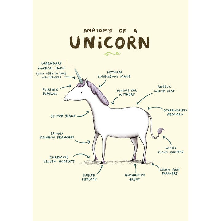 Anatomy Of A Unicorn Card for wholesale by Retrospect Greeting Cards