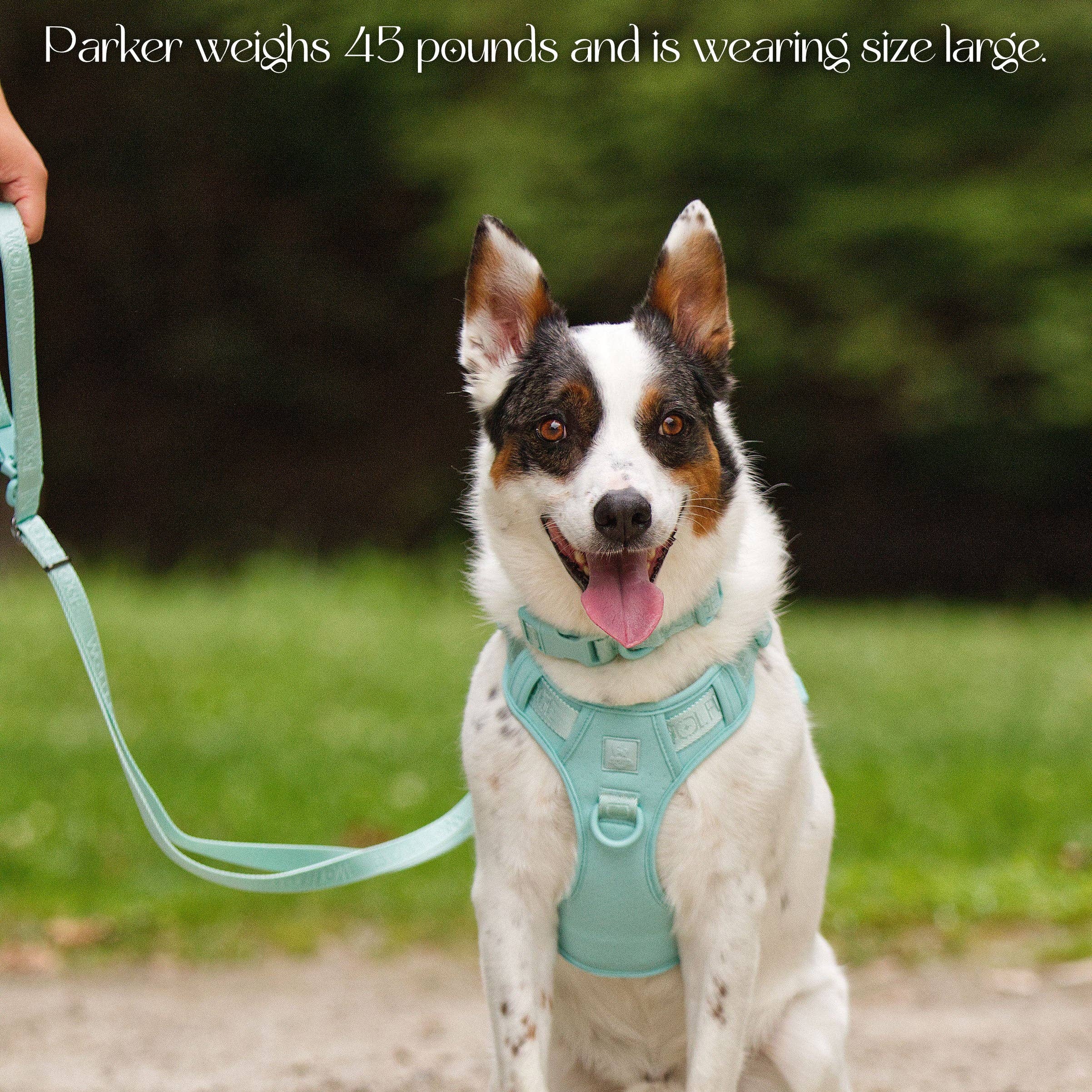 Wolfdoge - Wholesale Pet Harness - Dog - Wolfdoge Signature Harness8