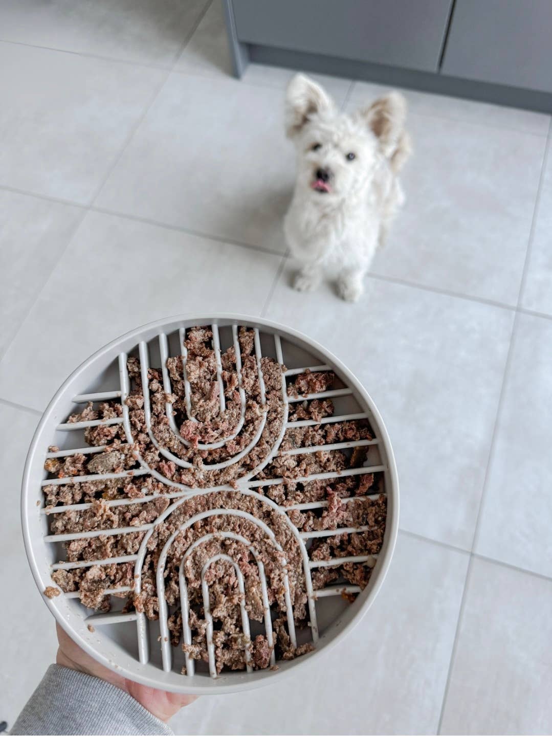 LOVIN'DOG - Vente Gamelle – chat et chien - Bol anti-glouton et tapis léchable antidérapant Greige 250 ml1