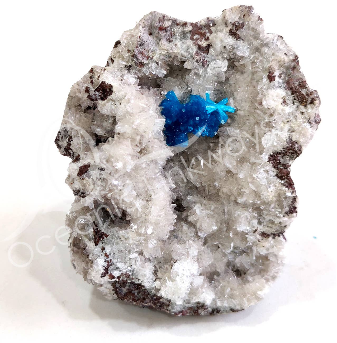 Oceanic Linkways Inc - Wholesale Spiritual Stone/Crystal - (PC)SPECIMEN - CAVANSITE IN MATRIX 3-6"3