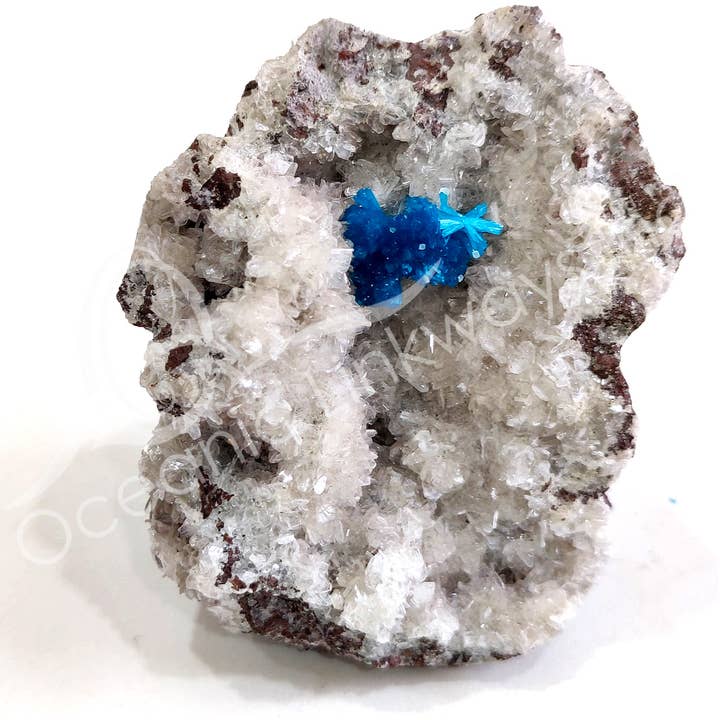 Oceanic Linkways Inc - Wholesale Spiritual Stone/Crystal - (PC)SPECIMEN - CAVANSITE IN MATRIX 3-6"3