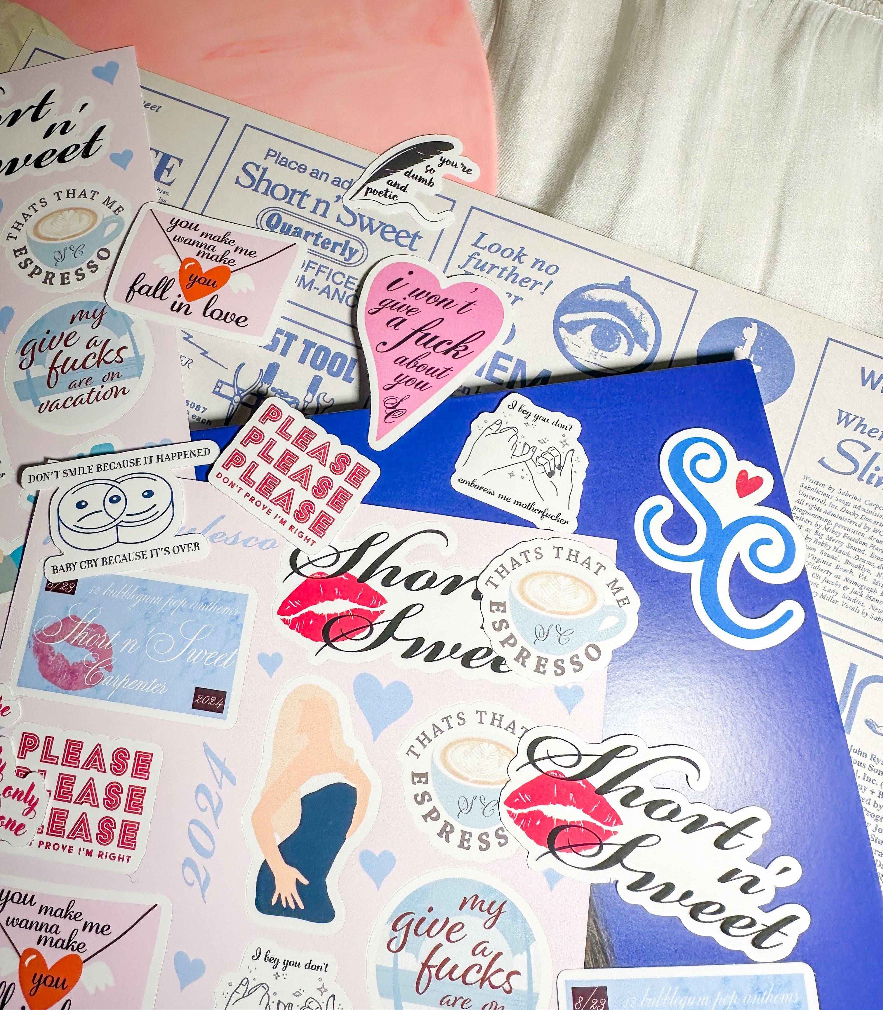 SpicyStylesCo – wholesale Sticker – short n'sweet SC6 sticker sheet2