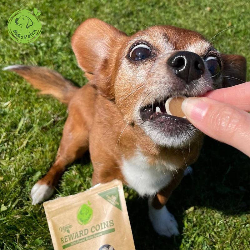 Miro & Makauri – wholesale Pet treats – Dog – Maks Patch Peanut Butter Reward Coins - 100g1