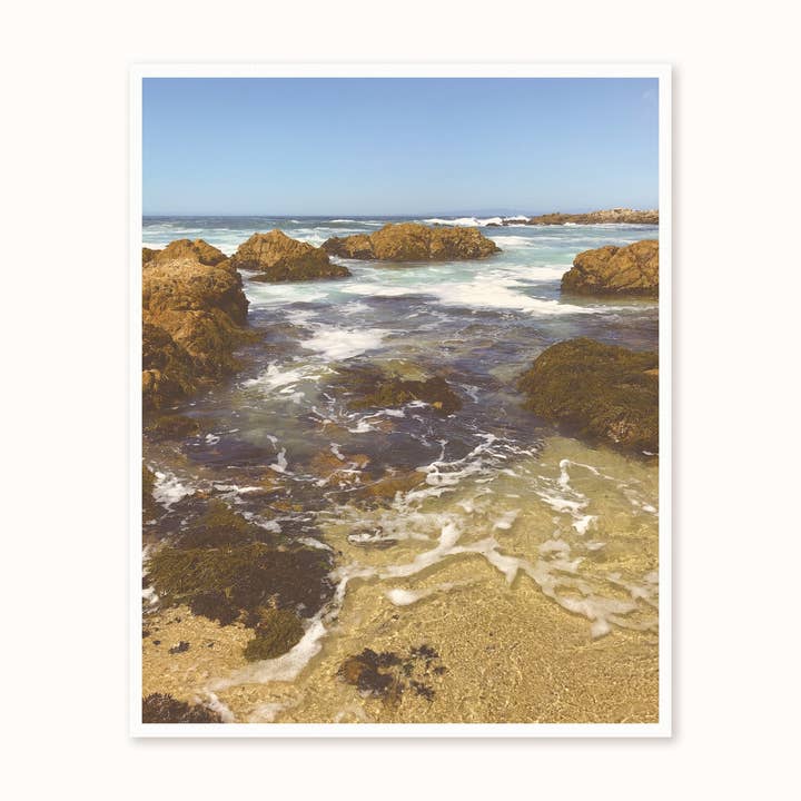 California Tide Pools Print for wholesale by Wild and Wandering co.