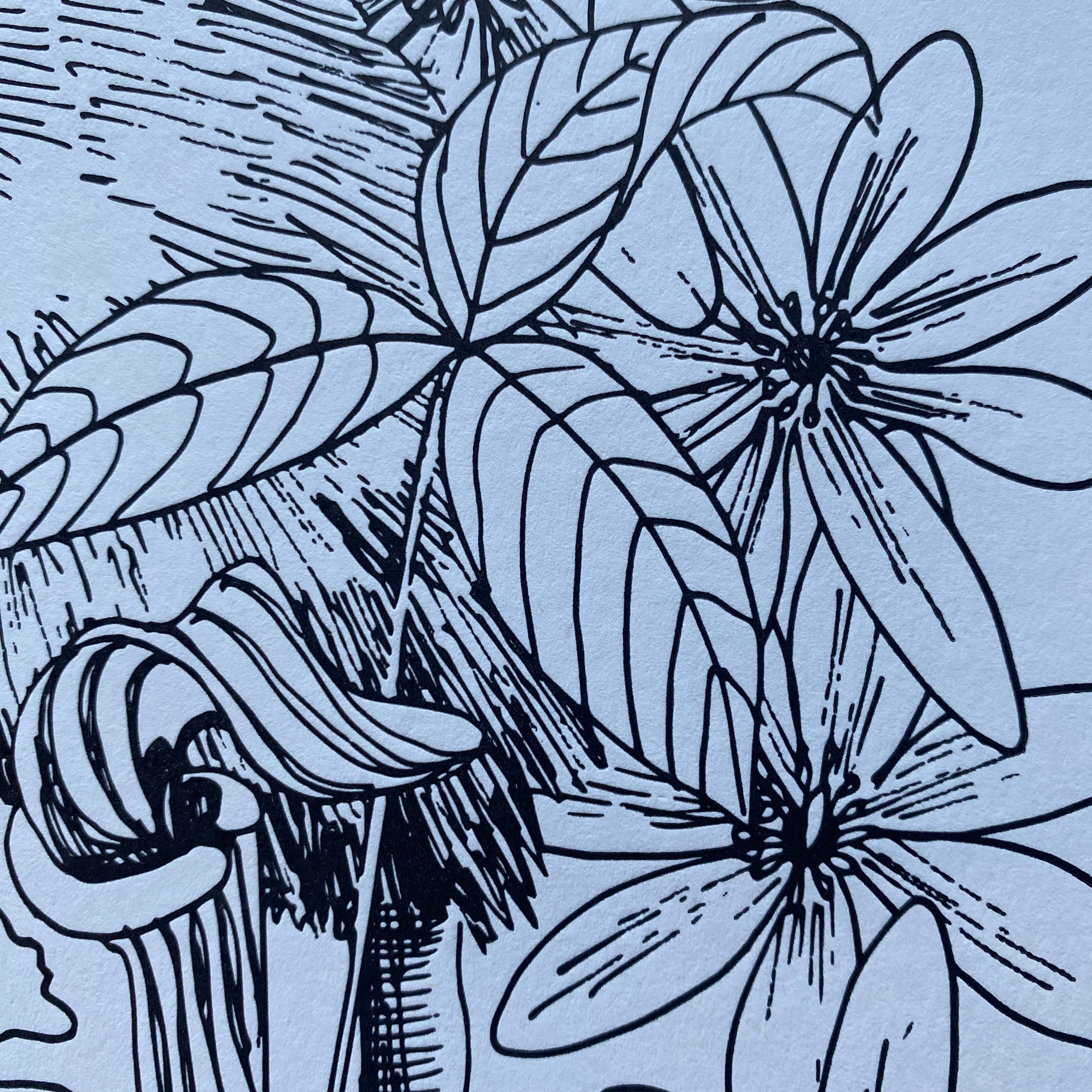 Ratbee Press - Wholesale Art Print - 11" x 14" Possum and Native Flowers Print3