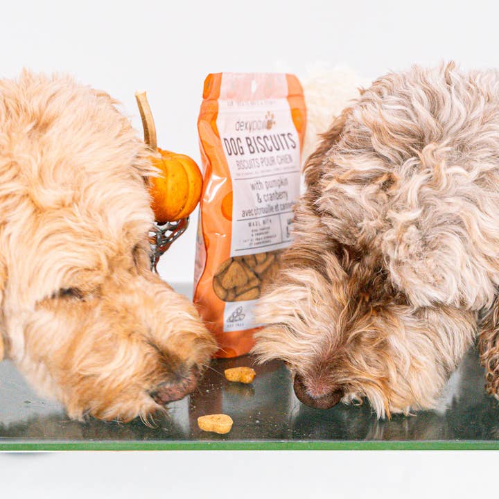dexypaws - Wholesale Hondenkoekjes - Hond - Pompoen hond traktaties