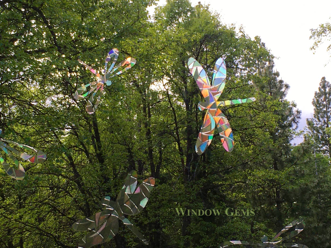 Window Gems - Wholesale Suncatcher - Dragonfly Window Clings - Bird Strike Warning Decals - Prism3