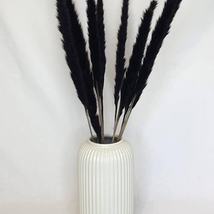 Opal Lily - Wholesale Dried/pressed flowers - Small Black Pampas Grass