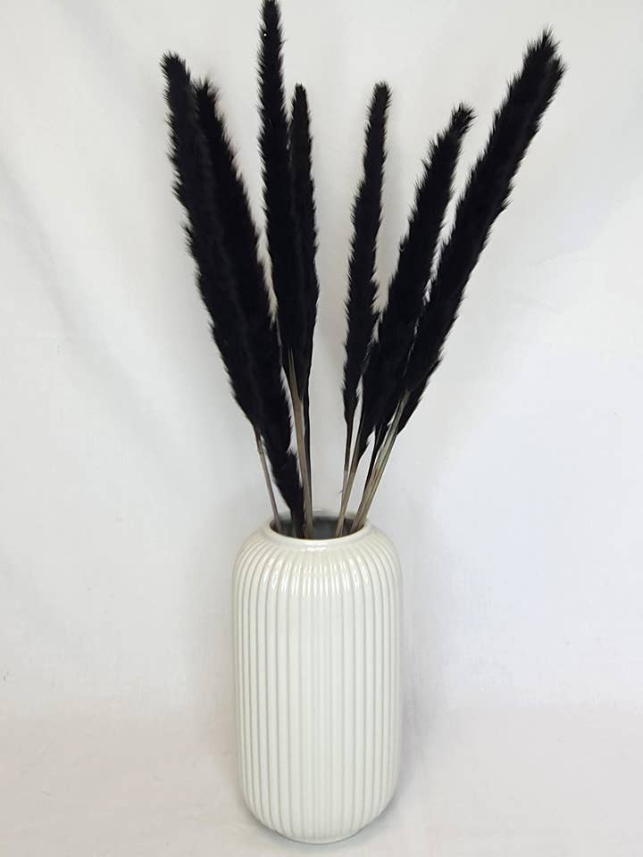 Small Black Pampas Grass for wholesale by Opal Lily