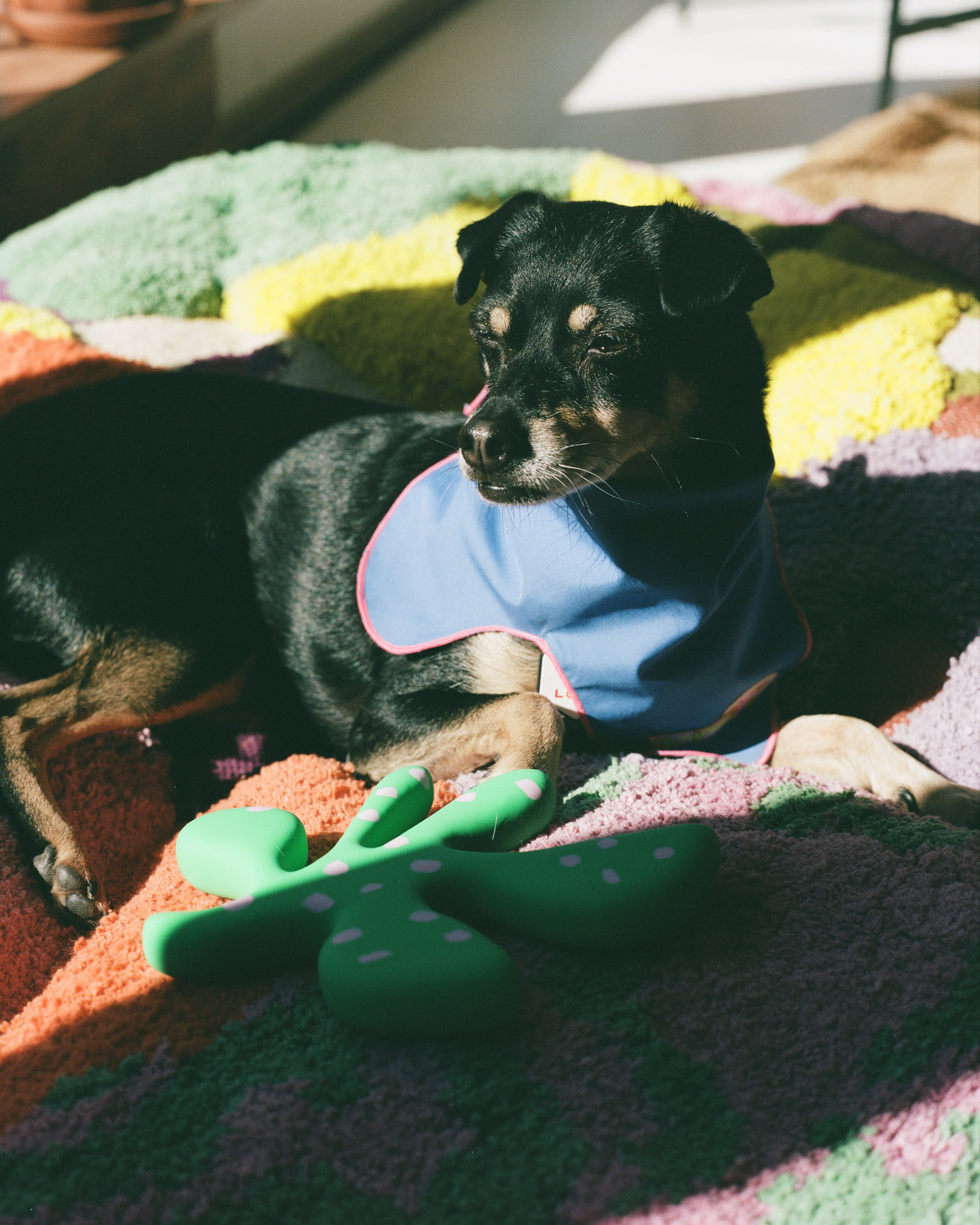 ProbaHome - Wholesale Pet Bed - Cat/Dog - "Sam's" Bed3