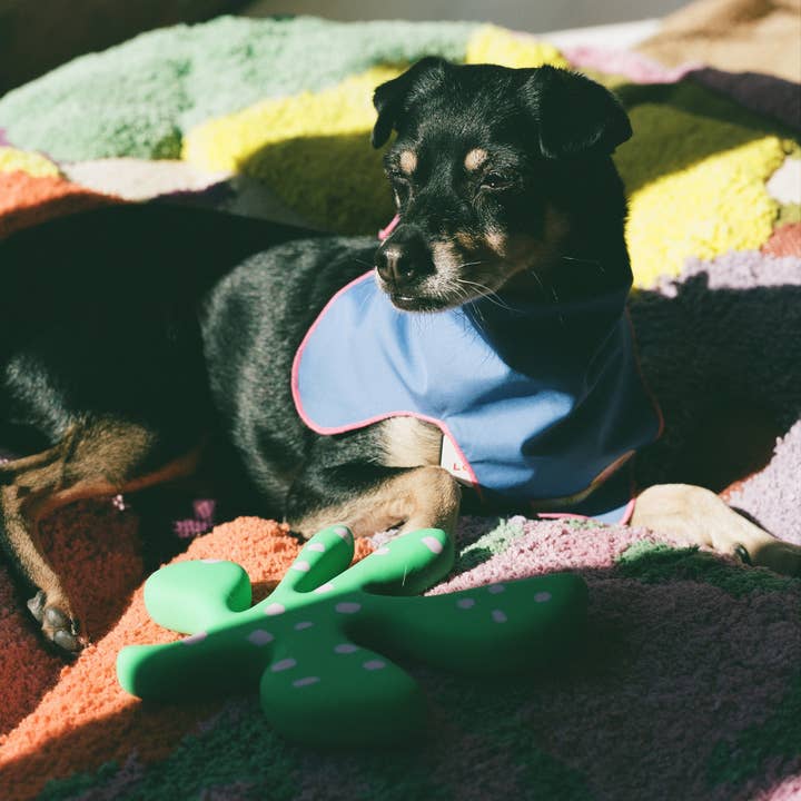 ProbaHome - Wholesale Pet Bed - Cat/Dog - "Sam's" Bed3