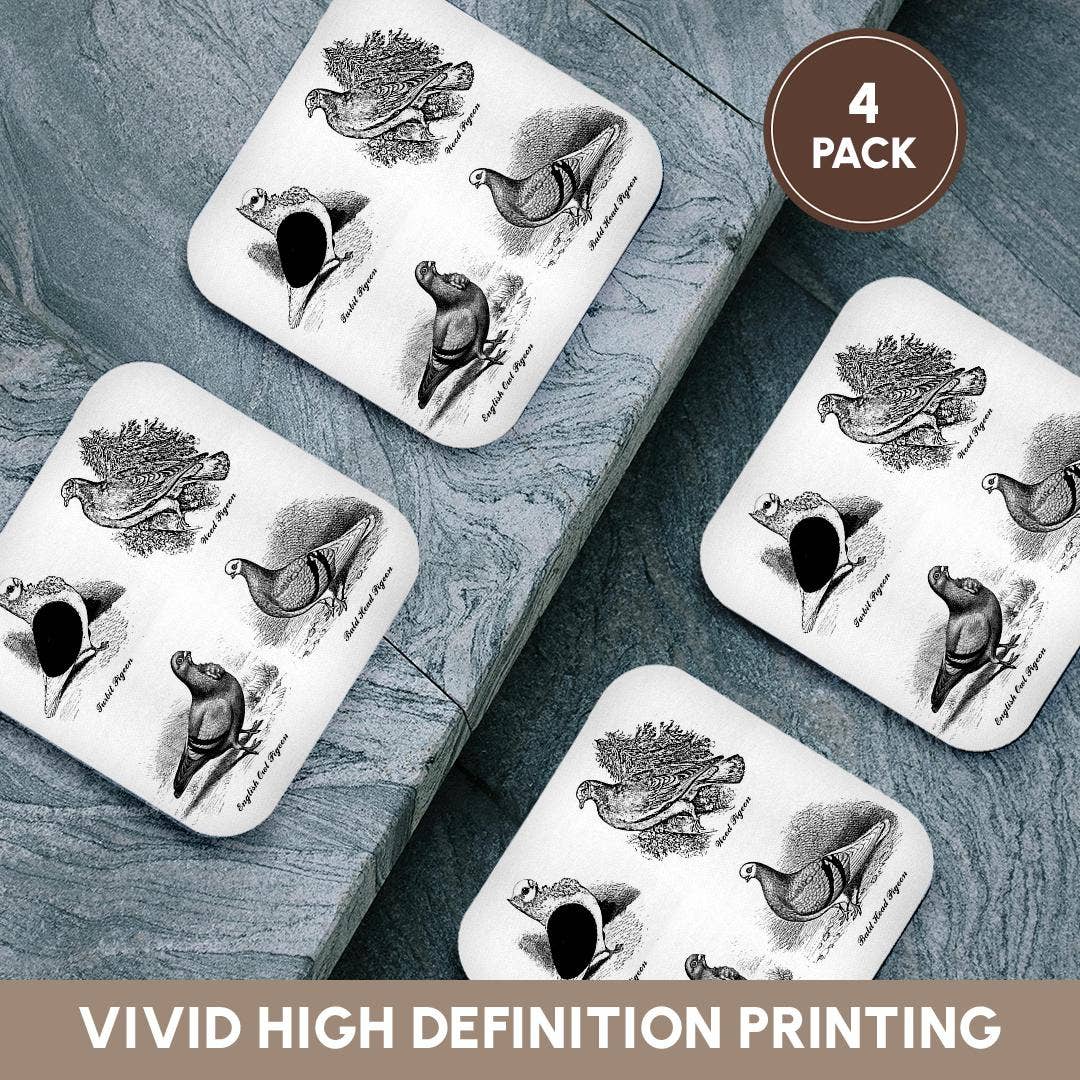 3dRose - Wholesale Coasters - 3dRose, Vintage Breeds of Pigeon Art Illustration Black and White for bird fan, Coaster12