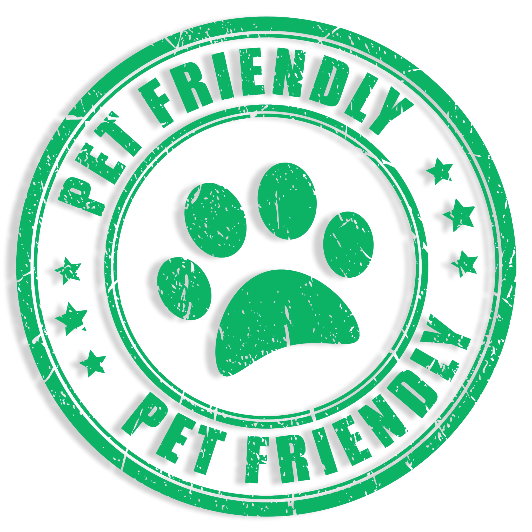 TryBlue - Wholesale Elixir - Black Cumin Seed Elixir6