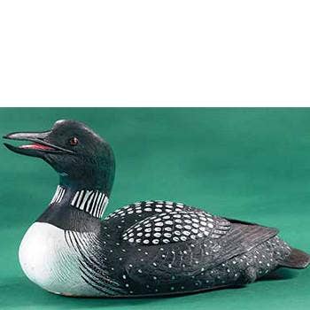 Édition limitée Loon Tremolo pour la vente par Natures Window