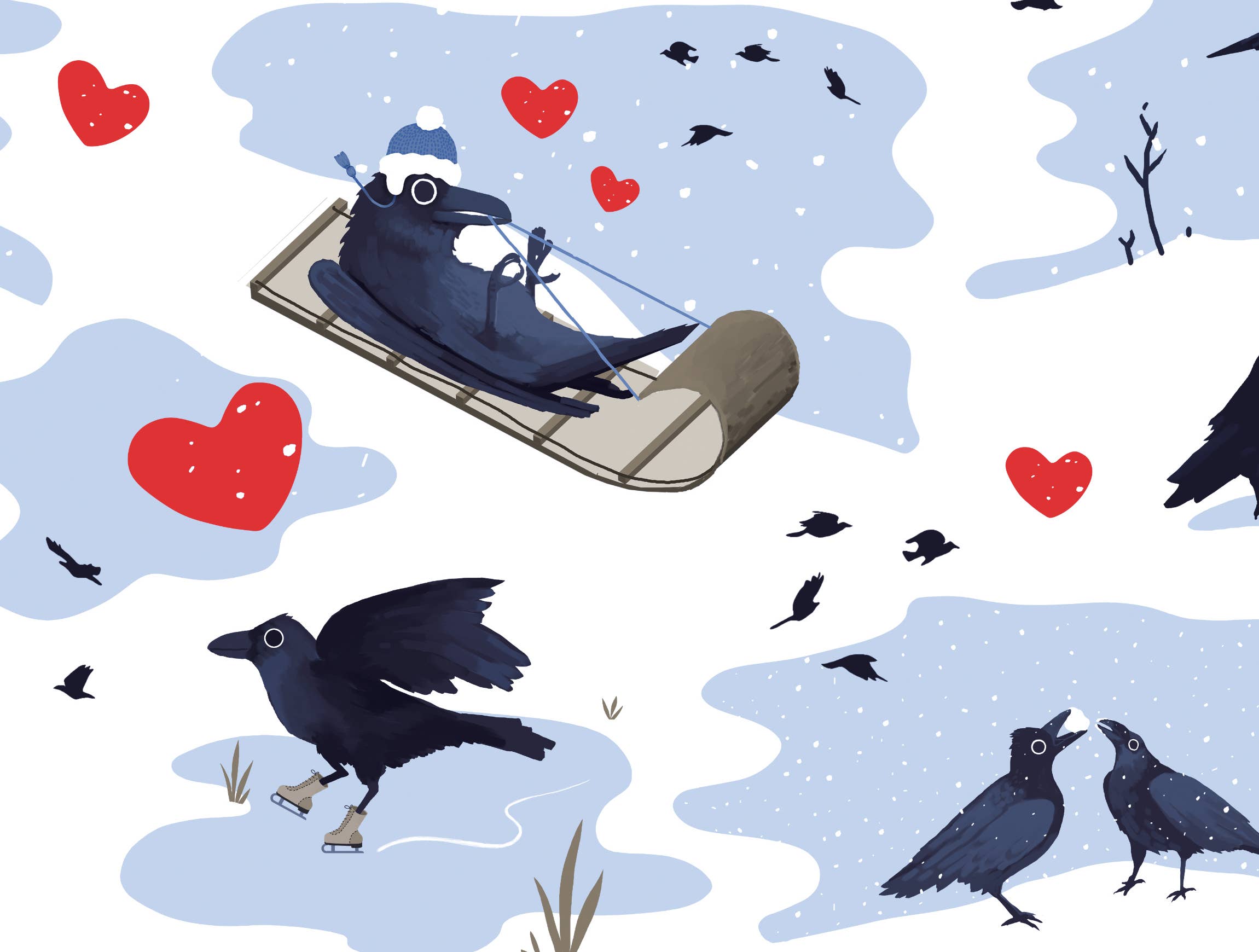 BoyPilot Goods - Wholesale Flat Wrap - Crow Christmas Wrapping Paper - Corvid Flat Pack Gift Wrap2