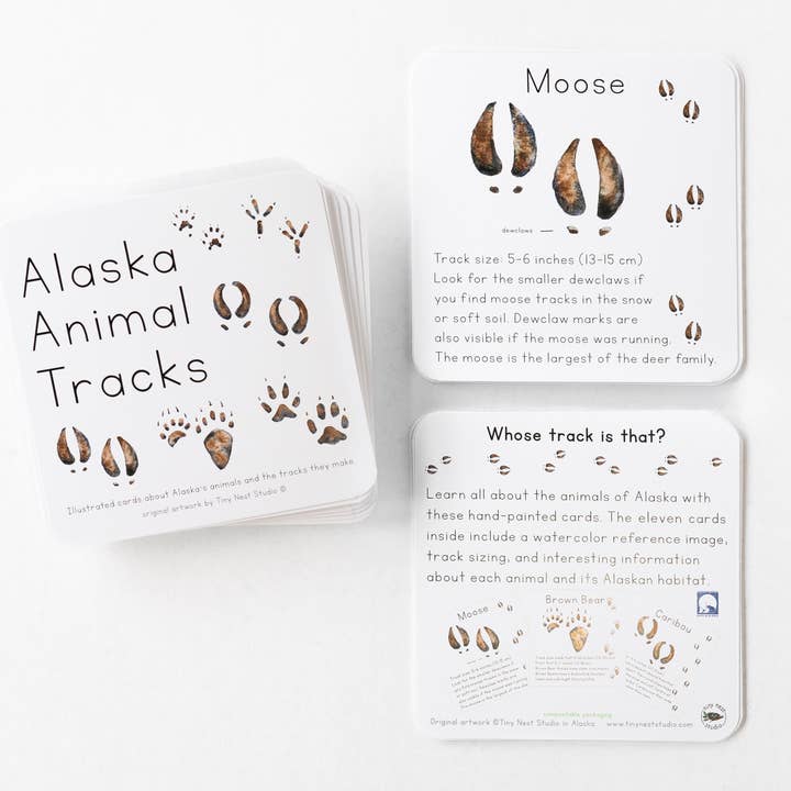 Tiny Nest Studio - Vendita all'ingrosso Carte didattiche - Bambini e neonati - Schede didattiche Alaska Animal Tracks1