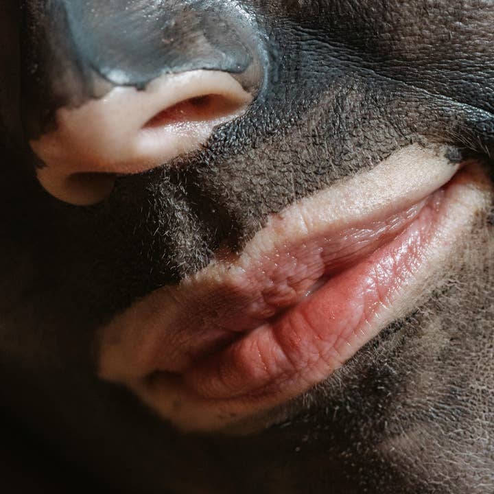 Basic Naturals Skincare - Wholesale Skincare Face Mask - CLARIFY ME Activatted Charcoal & Bentonite Clay Face Mask5