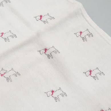 AXCIS Fluffy gauze Face towel for wholesale by Japacolle — Japan Collections | See Latest News in "About"