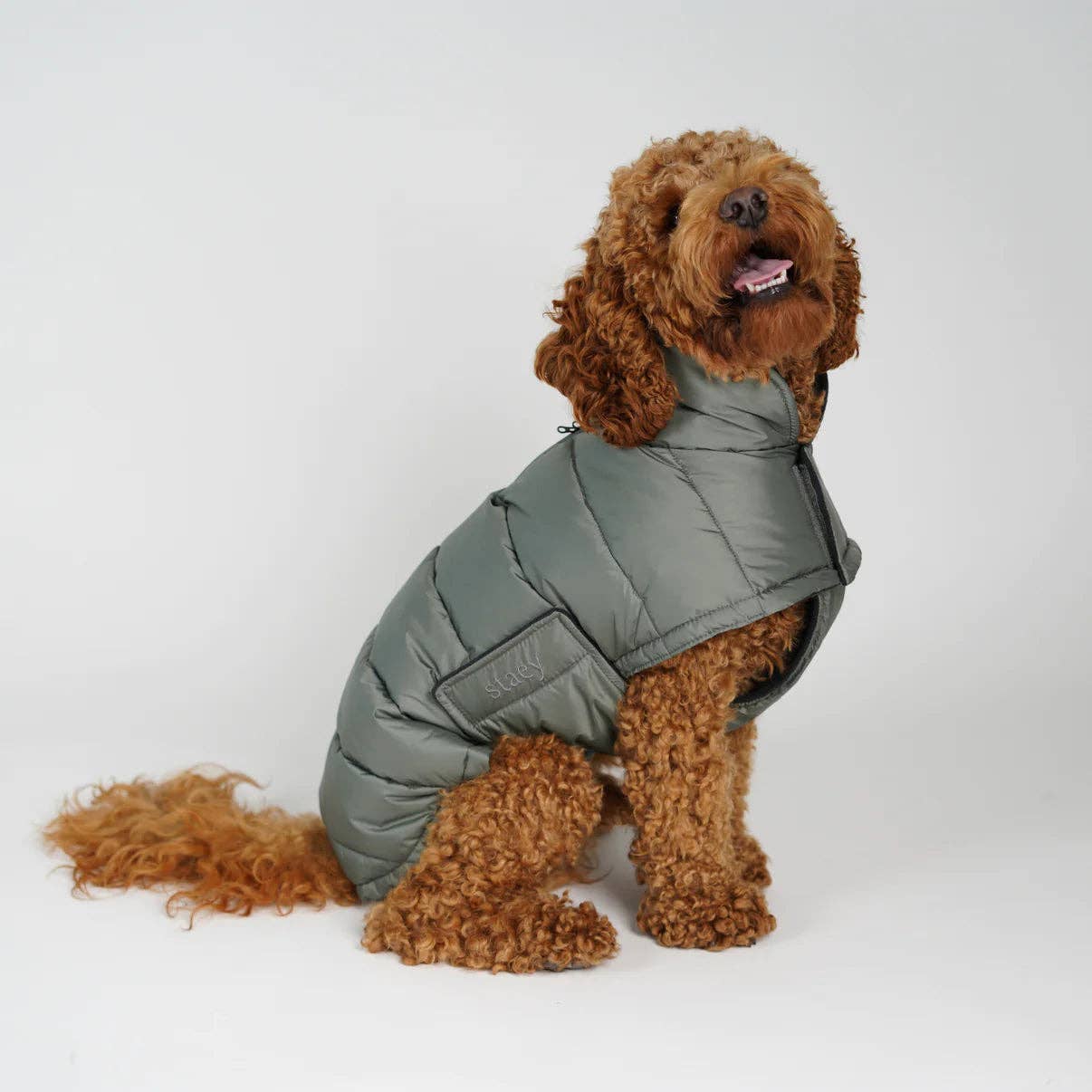 Staey - Wholesale Pet Jacket - Dog - Nora Dog Coat | Moss Green1