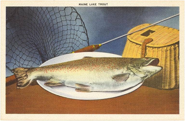 Found Image Press – Großhandel Kunstdruck – Kunstdruck ME-186 Maine-Seeforelle