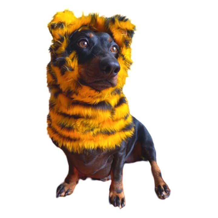 Hundsnood/Buff/Hatt - Tiger för wholesale av Puppies & Pom Poms