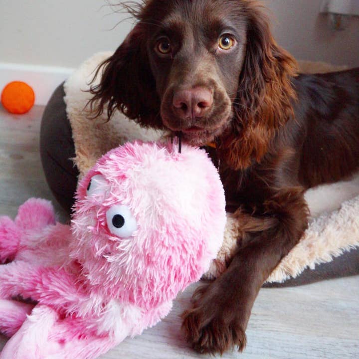 Only An Ocean Europe - Wholesale Pet Plush Toy - Dog - Gor Reef Octopus2