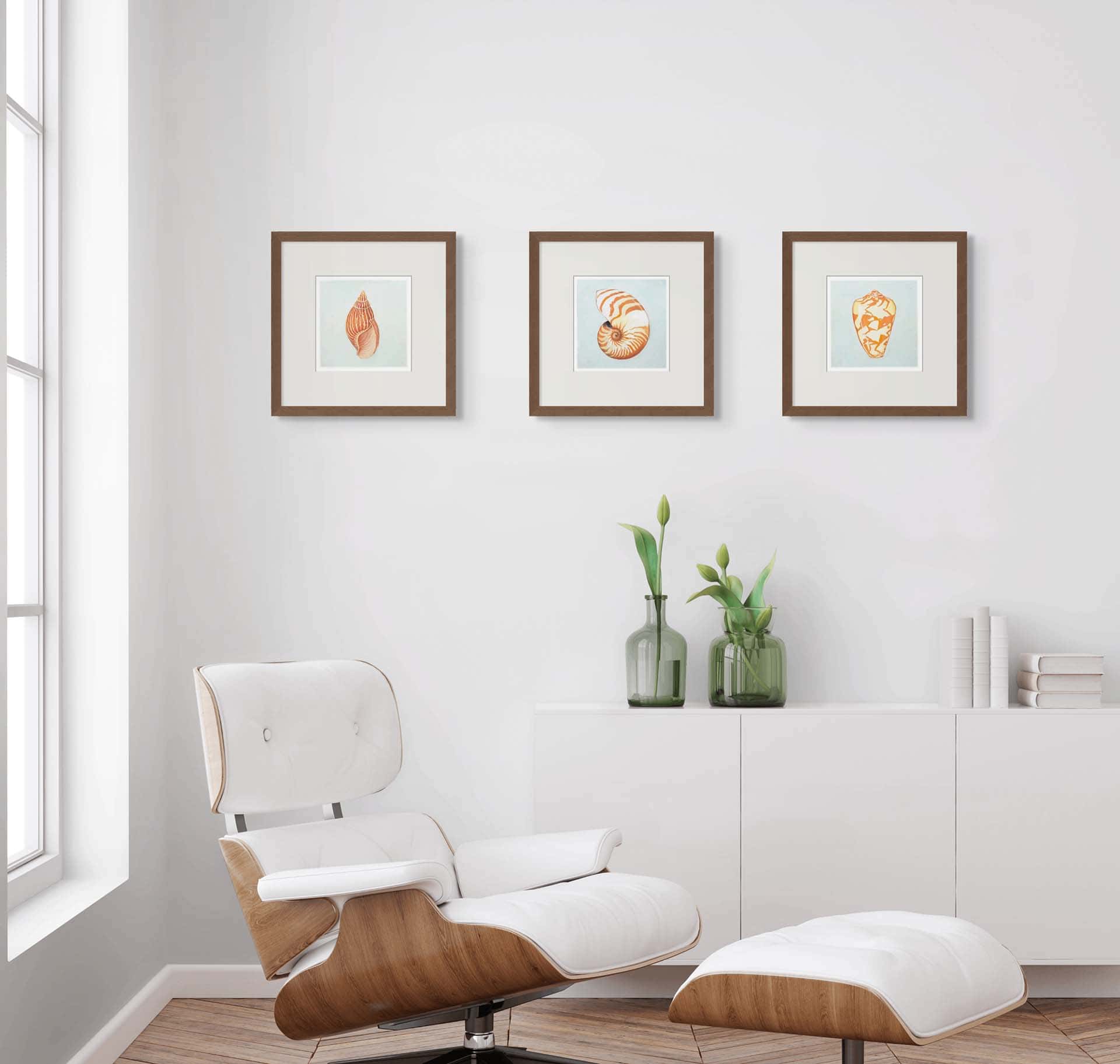 Holy Kaw Wall Art – Großhandel Kunstdruck – Fine-Art-Wanddruck Muschel #2 - 24x242