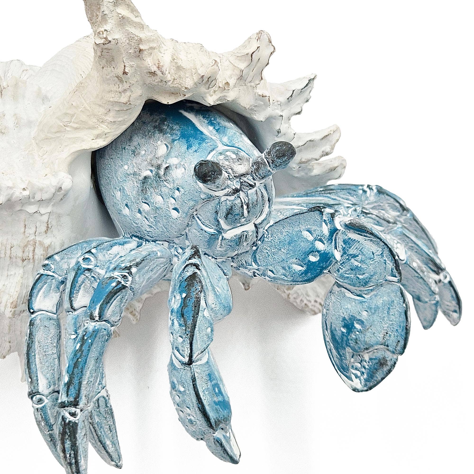 A&B Home Group Inc. - Wholesale Decorative Tabletop Object - 7.3x7x5.7" Lifelike Blue Hermit Crab Figurine w/ White Shell3