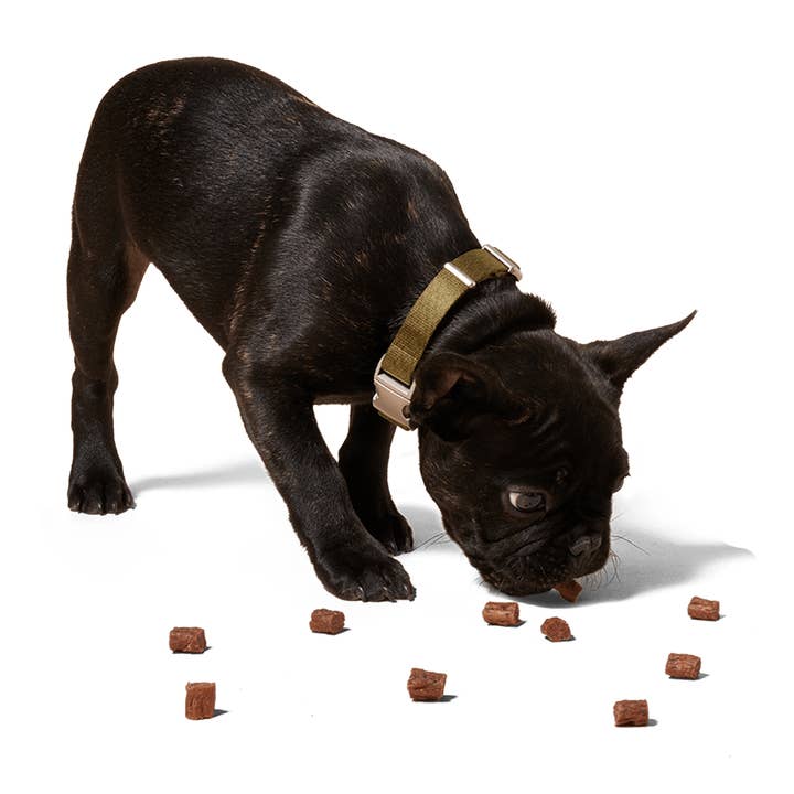 Woof - Wholesale Pet Treats - Dog - Love Nuggets