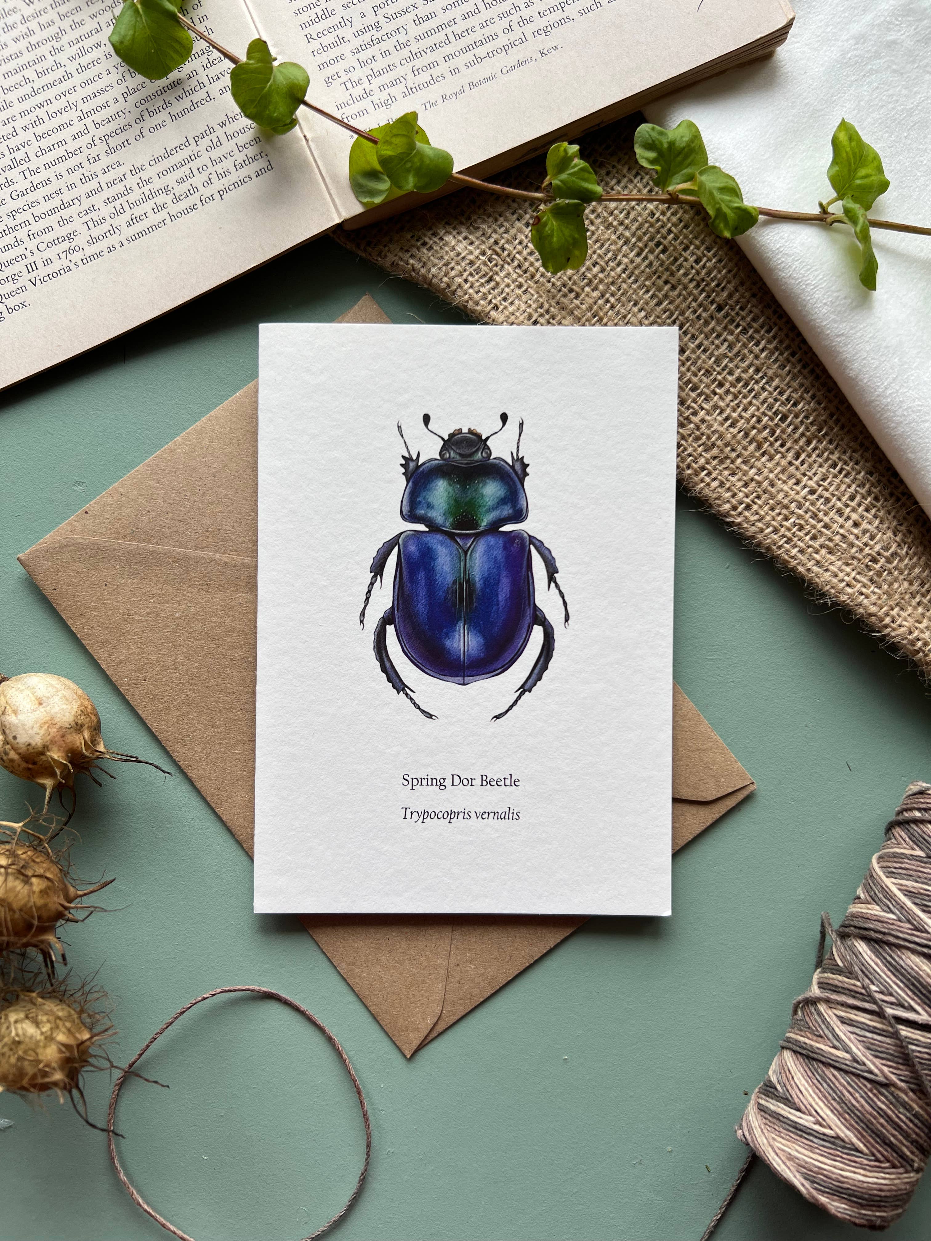 Tansy Moore - Wholesale Everyday Greeting Card - Spring Dor Beetle, Blank Greeting Card 3
