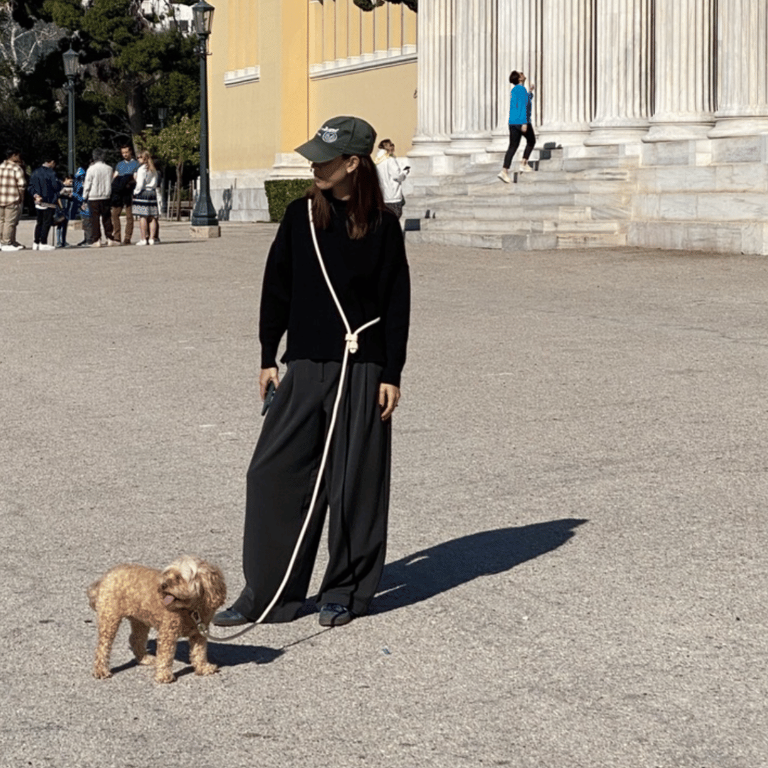 ST ARGO - Wholesale Pet Leash - Dog - HANDS FREE LEAD - Cream5