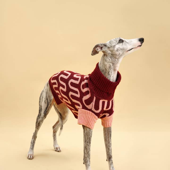 BarkBarkBaby - Wholesale Pet Sweater - Dog - Rosé Bliss Sweater6