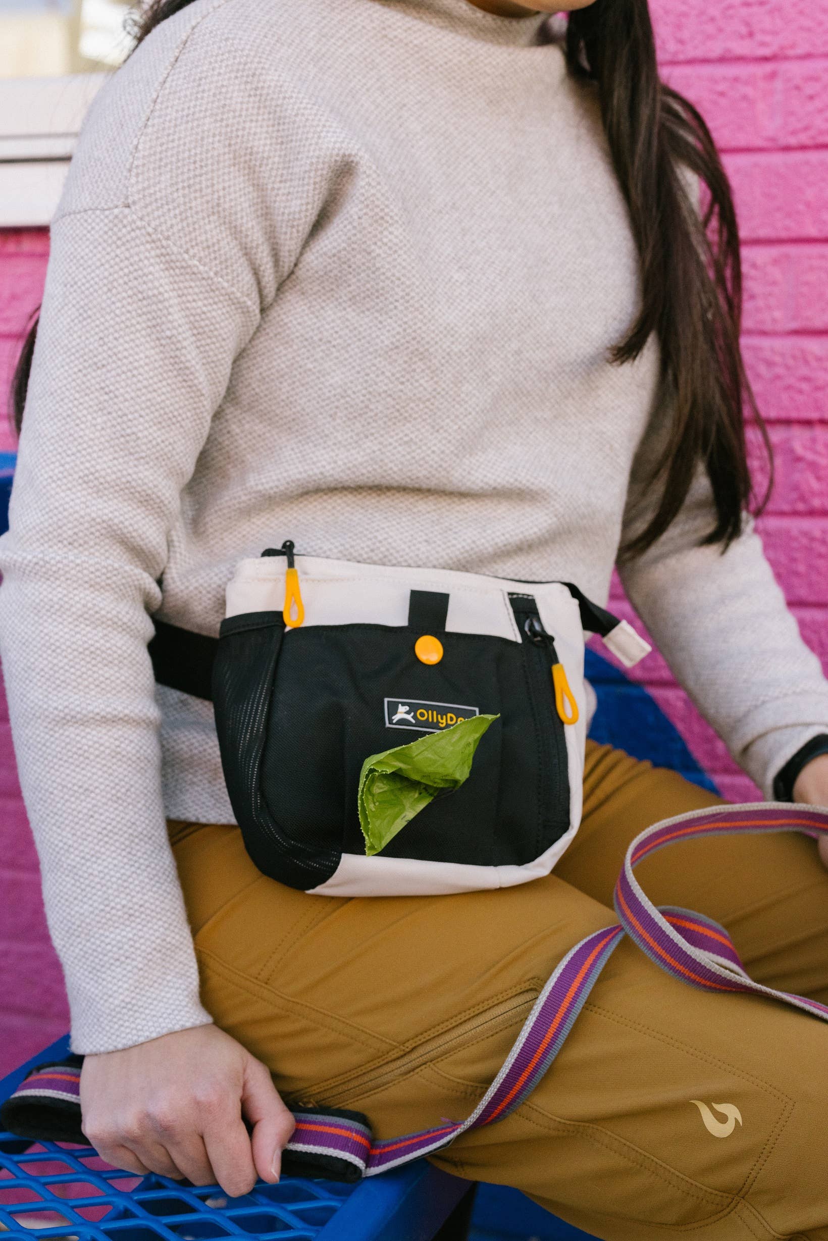 OllyDog - Wholesale Belt Bag - Unisex - Backcountry Day Bag62