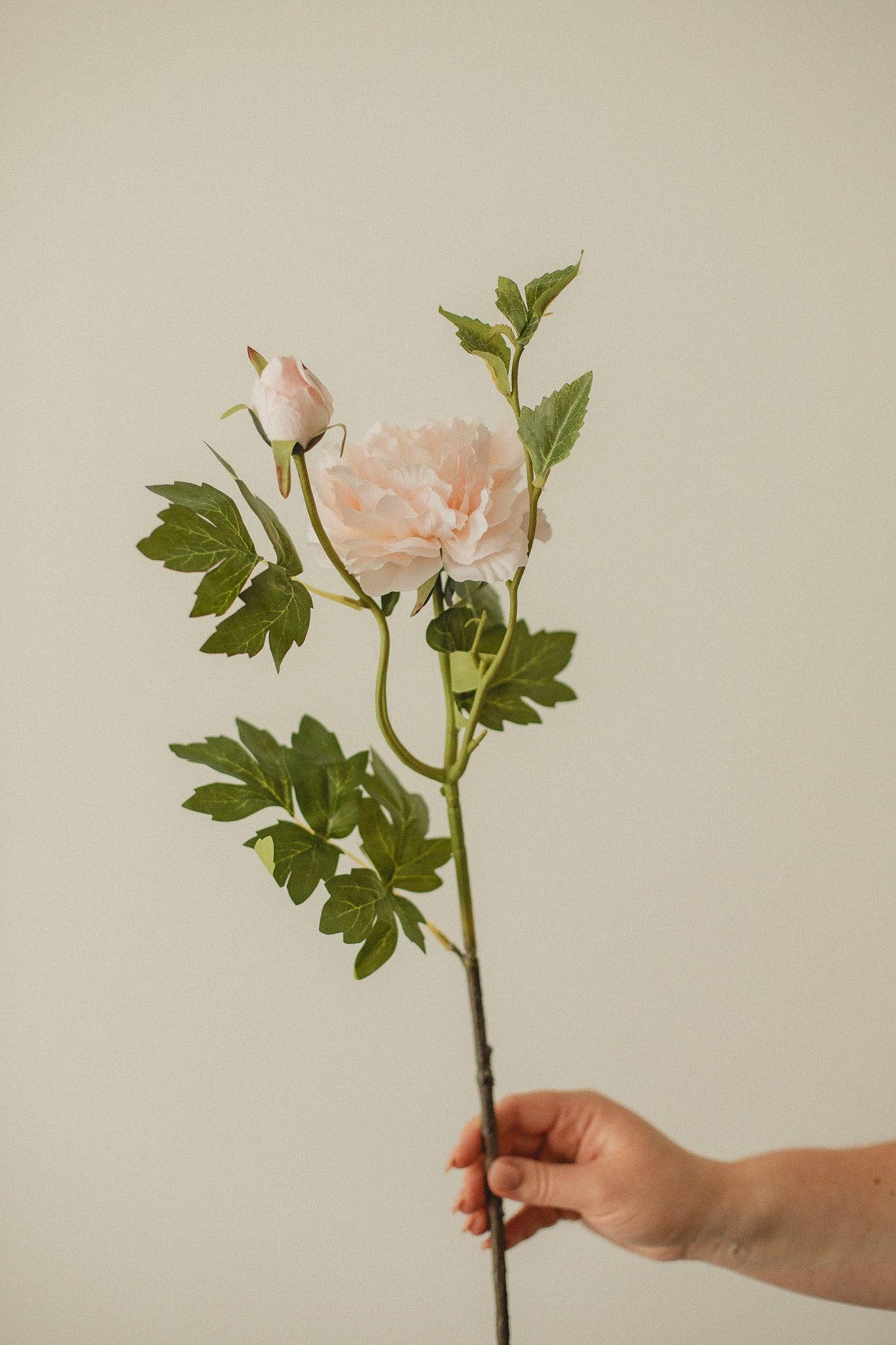 Eucalypt Co. - Wholesale Artificial Flowers - Mountain Peony1