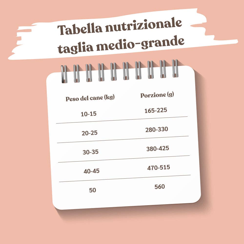 Pettech S.r.l. - Wholesale Pet Treats - Dog - Kibble with Fresh Pork, Potatoes, and Peas for Adults5