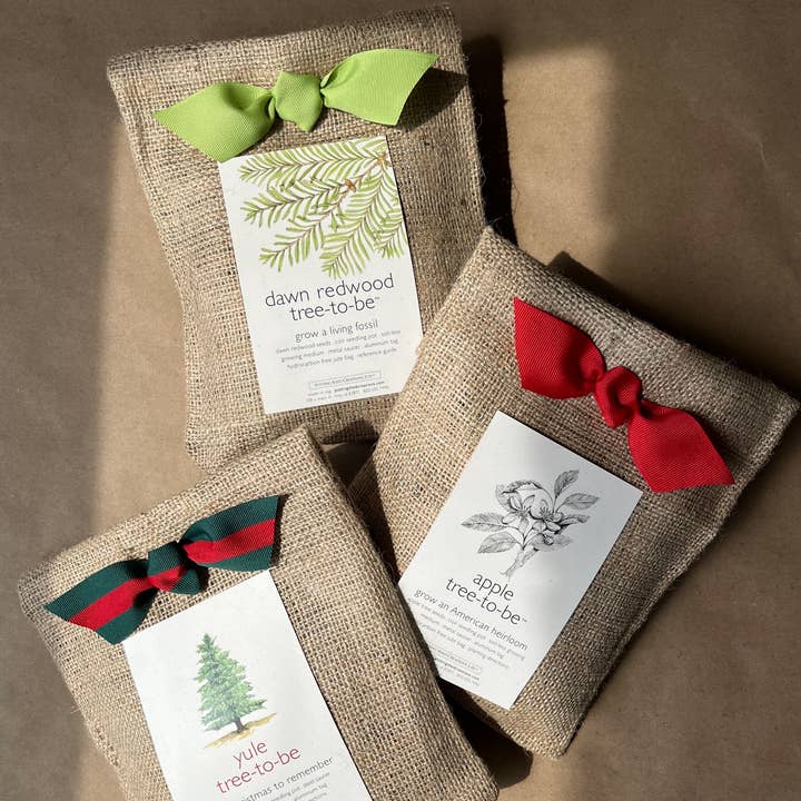 Potting Shed Creations, Ltd. - Wholesale Plant Seeds - Tree to Be | Dawn Redwood | Fall & Corporate Gift idea5