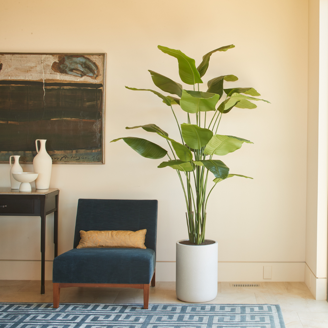 CG Hunter - Wholesale Artificial Plant - 8' Bird of Paradise Tree in Modern Gray Planter1