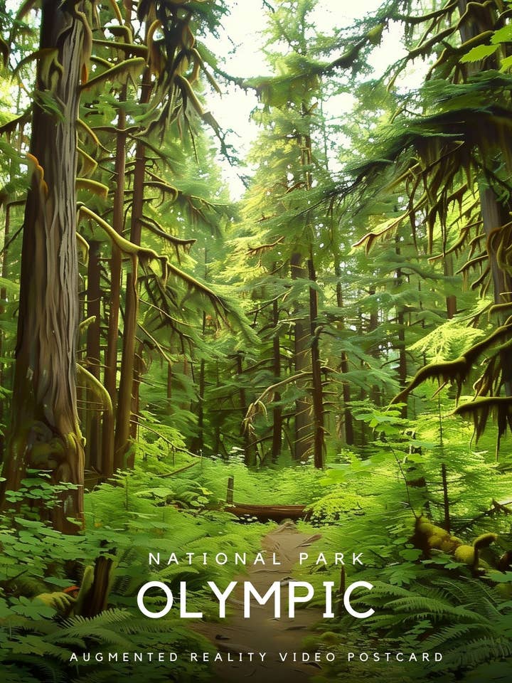 Washington Olympic National Park | Magic Postcard for wholesale by Magic Greetings