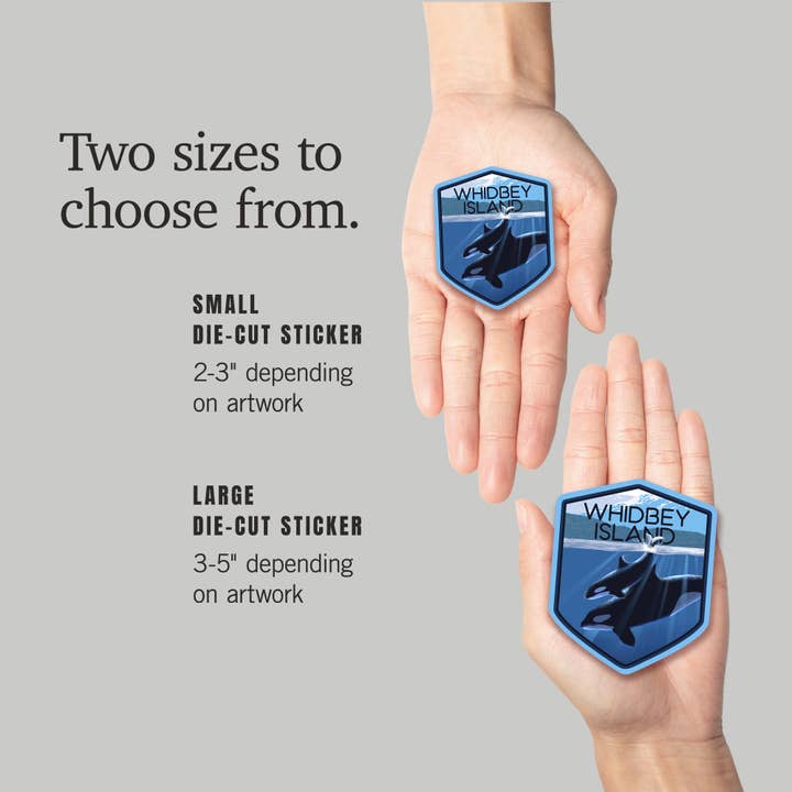 Lantern Press - Wholesale Sticker - STICKERS Whidbey Island, Washington, Orca & Calf 25