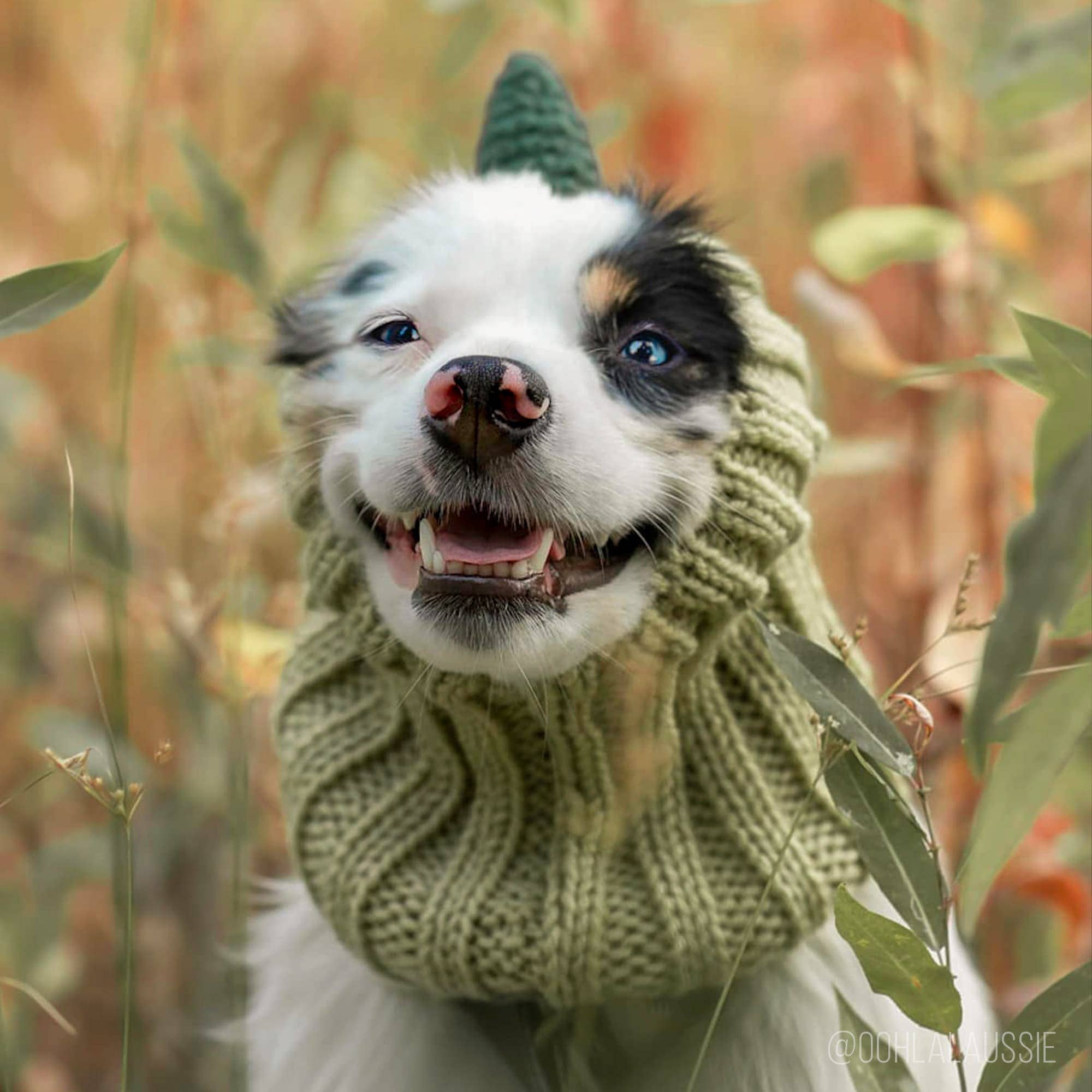 Zoo Snoods - Wholesale Pet Snood - Dog - Dinosaur Dog Snood7