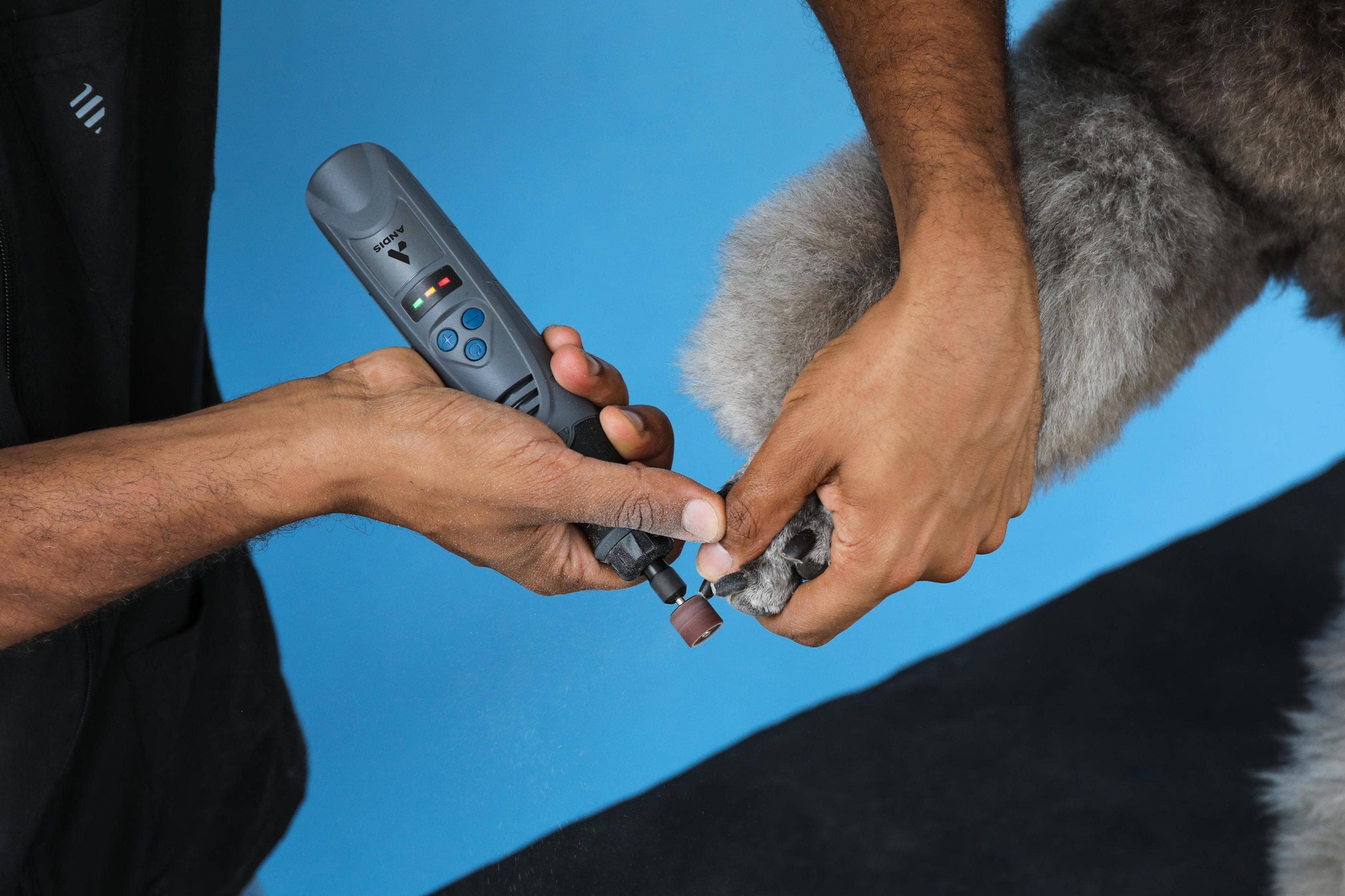 Pet Palette Distribution - Wholesale Pet Grooming Tool - Dog - Andis DNG-1- Cordless Nail Grinder 6-Speed - VBL7