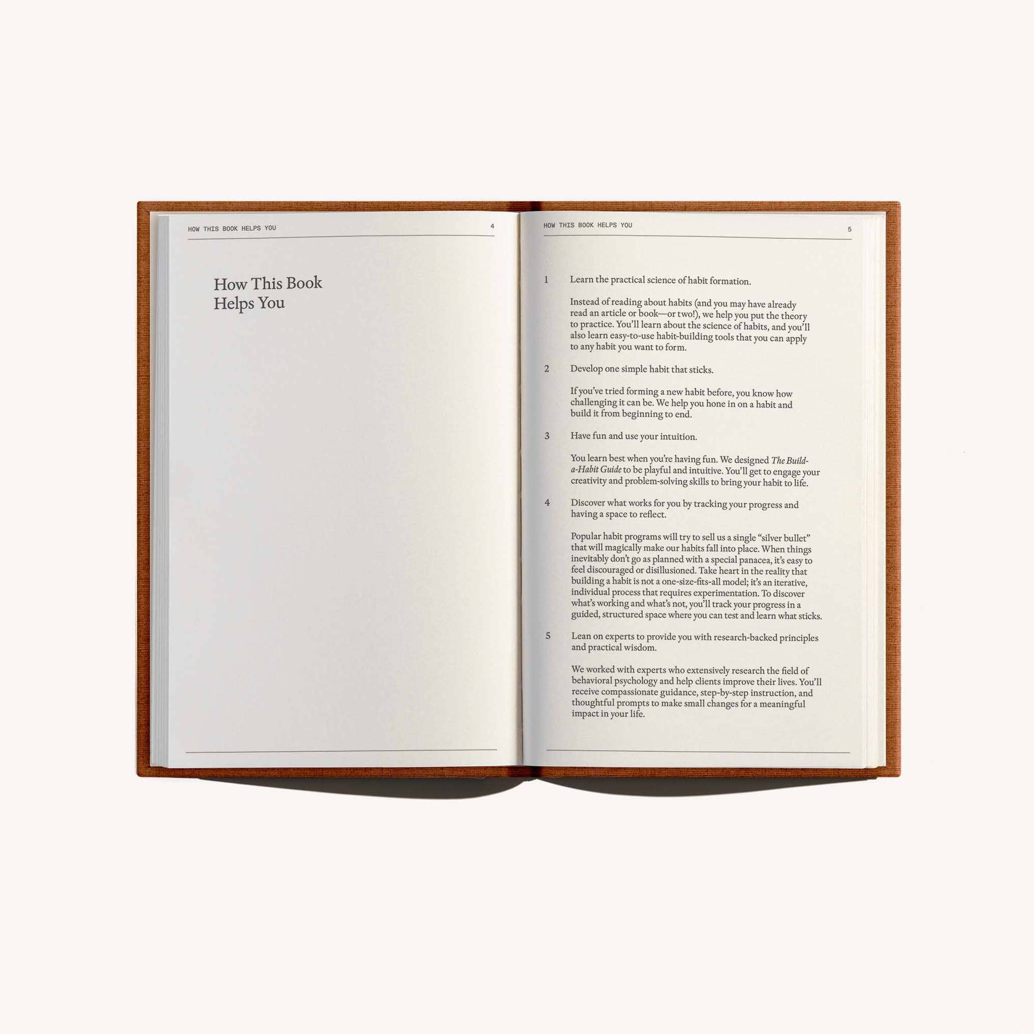 Therapy Notebooks - Vendita all'ingrosso Diari/agende - The Build-a-Habit Guide5