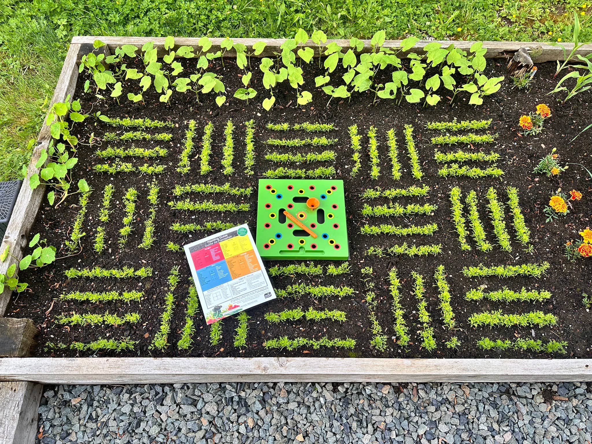 Seeding Square - Wholesale Garden Tool - SEEDING SQUARE Garden Spacing Template for Maximum Yield8