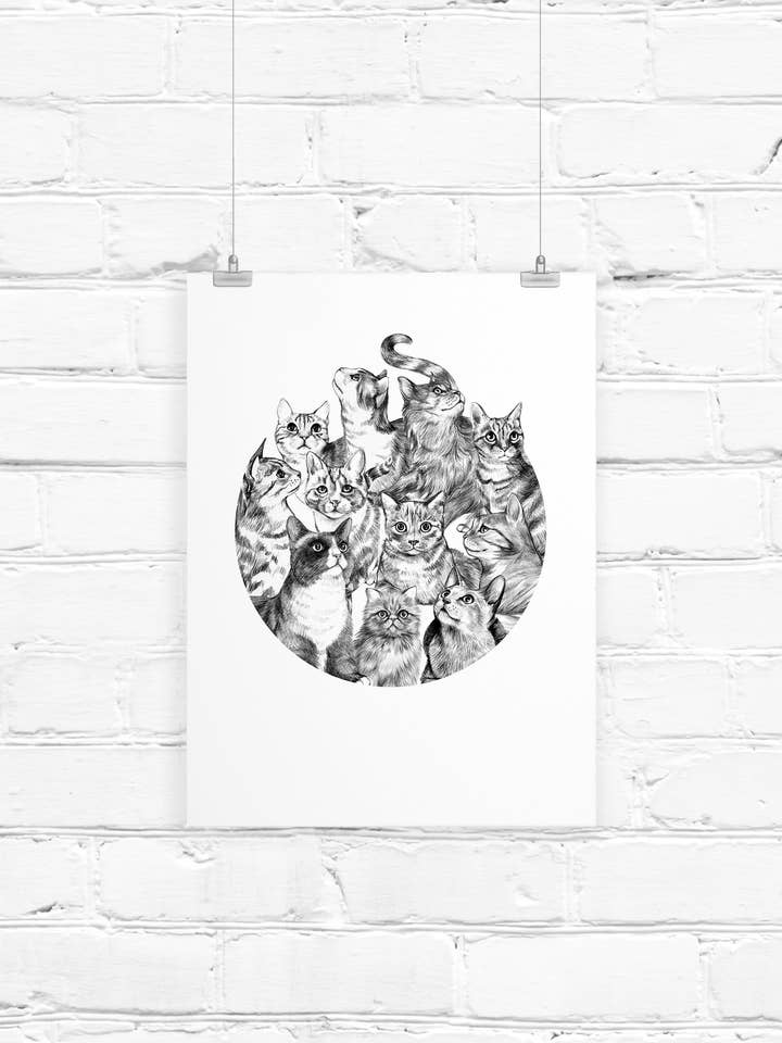 Cat Taxonomy for wholesale by LINNA