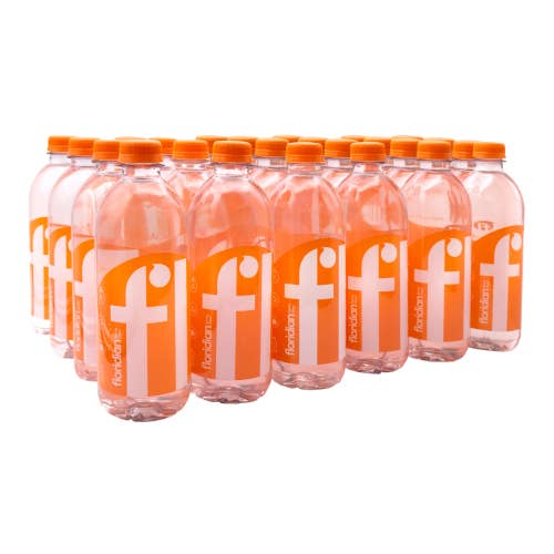 Floridian Spring Water - Wholesale Bruiswater - Floridiaans bronwater 16,9 oz (24 stuks)1
