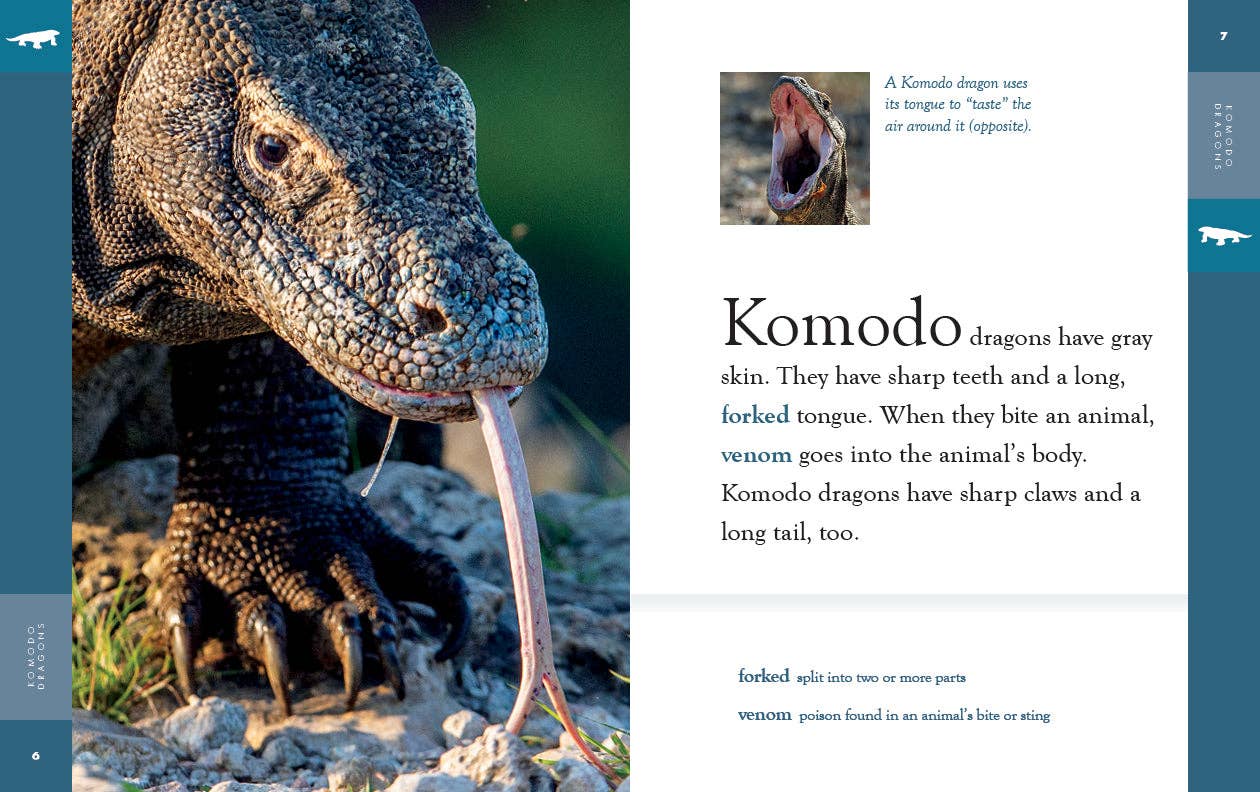 The Creative Company - Wholesale Early Reader Book (6-8) - Amazing Animals - New Edition: Komodo Dragons1